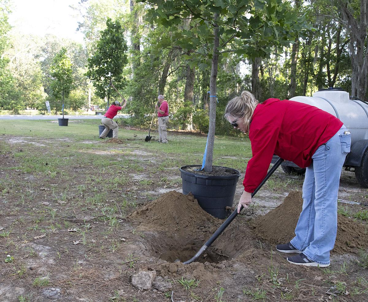 vsu19281national-arbor-day.jpg